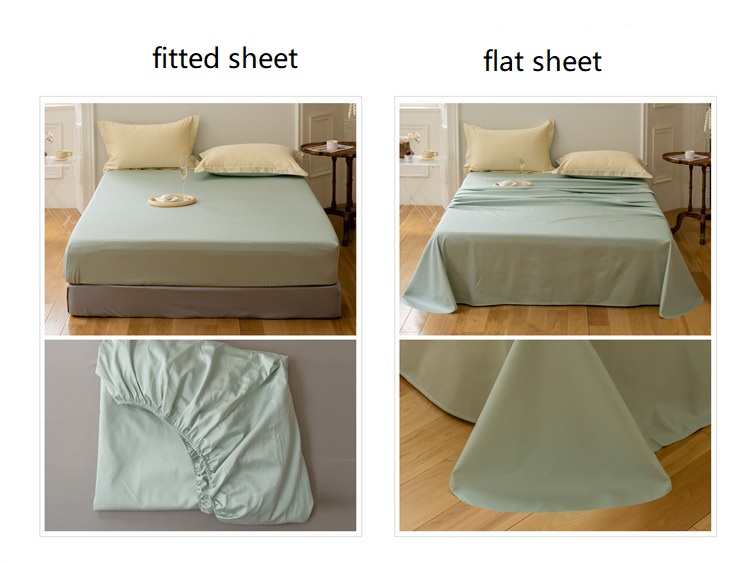 Mollis et modum aptavit sheet
